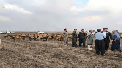 لە گوندێکی شارەزوور شوانێک و نزیکەی 200 سەرمەڕ سووتان