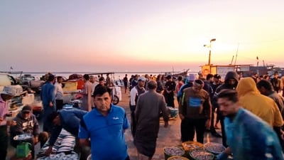 مزاد النقعة: زبائن من كل مكان يرفعون مضاربات الصبور.. “الكوتره” بـ 60 ألف