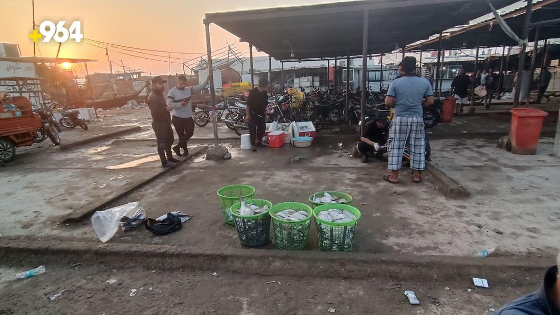 الزبيدي بـ35 ألف دينار.. قائمة صباحية بأسعار السمك في مزاد الفاو لهذا اليوم