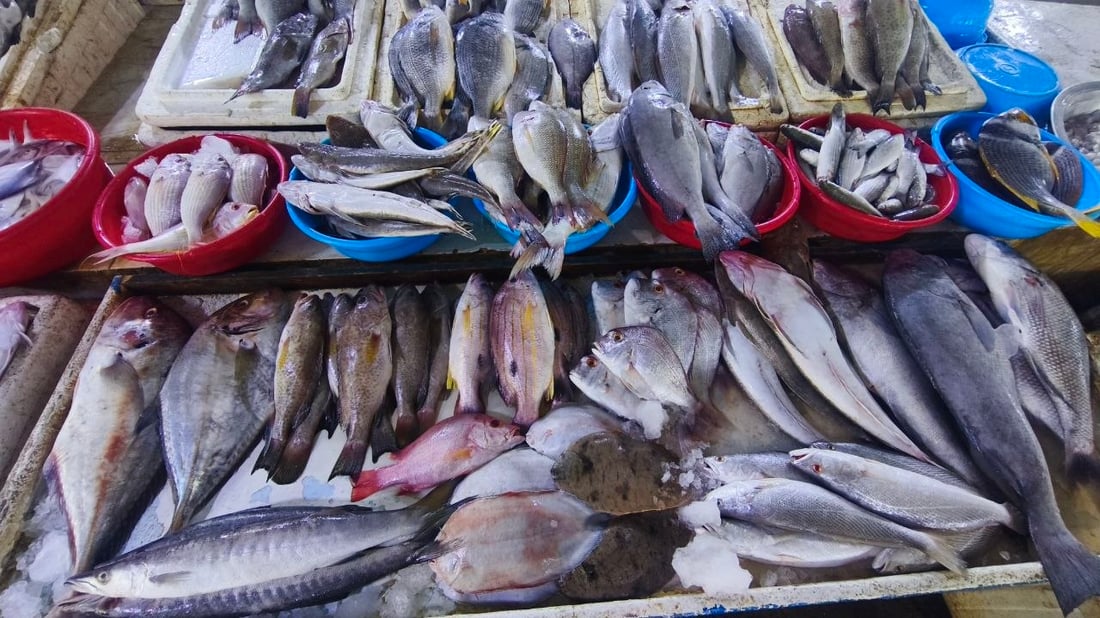 البرد يدفن الأسماك في قاع البحر.. صيادو الفاو يترقبون الدفء