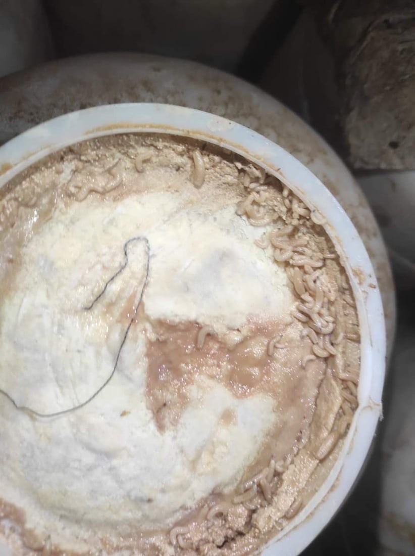 زیاتر لە دوو تۆن سێو و خورما و پەنیرى نەشیاو بۆ خواردن دەستیان بەسەرداگیرا