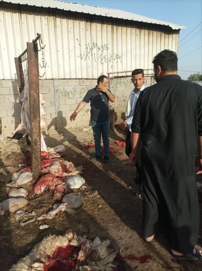 صور: اعتقال 3 جزارين ومصادرة ذبائح غير صالحة في سوق الشيوخ