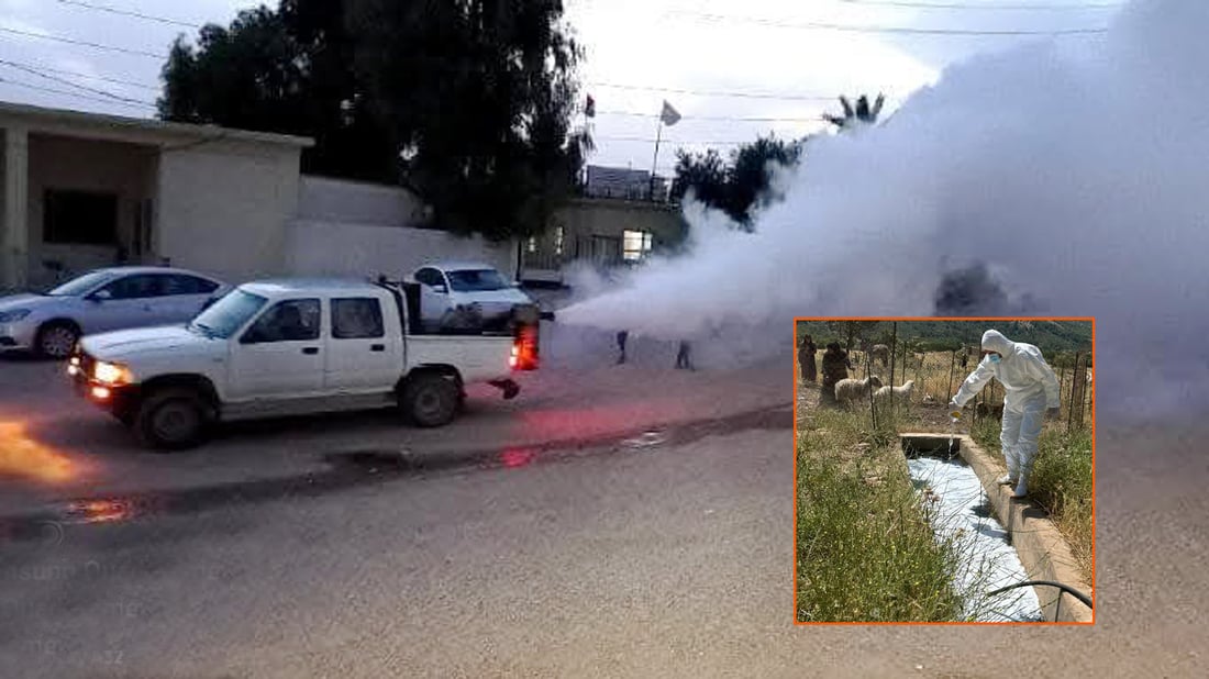 Duhok Launches Campaigns to Tackle Hemorrhagic Fever, Mosquitoes