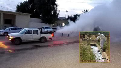 Duhok Launches Campaigns to Tackle Hemorrhagic Fever, Mosquitoes