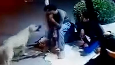 سەگ پەلاماری چوار هاوڵاتی داوە و برینداری کردوون