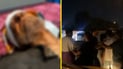 مشاهد للحظة مداهمة عصابة اعتدت على مسن وسلبته (فيديو)