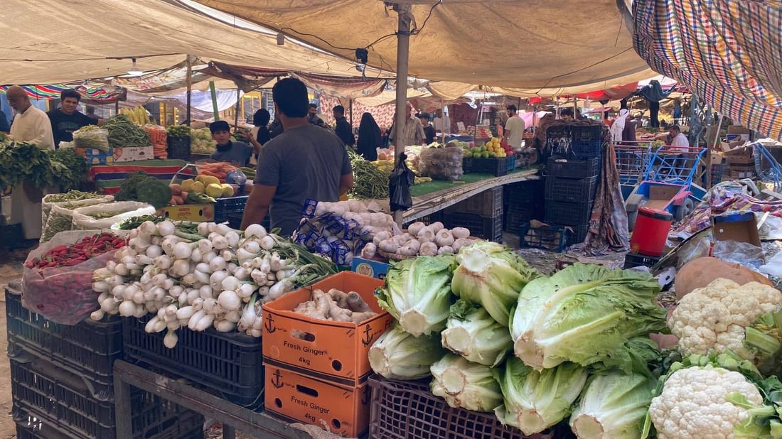 أول قطفة شتوية وصلت البصرة مبكراً والأسعار أقل من 1000 (صور)