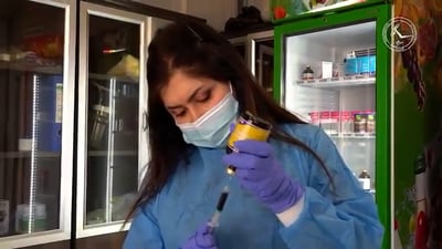 3 آلاف دينار لمن يسلم كلباً للمأوى.. السليمانية لا تقتل مثل البعض!