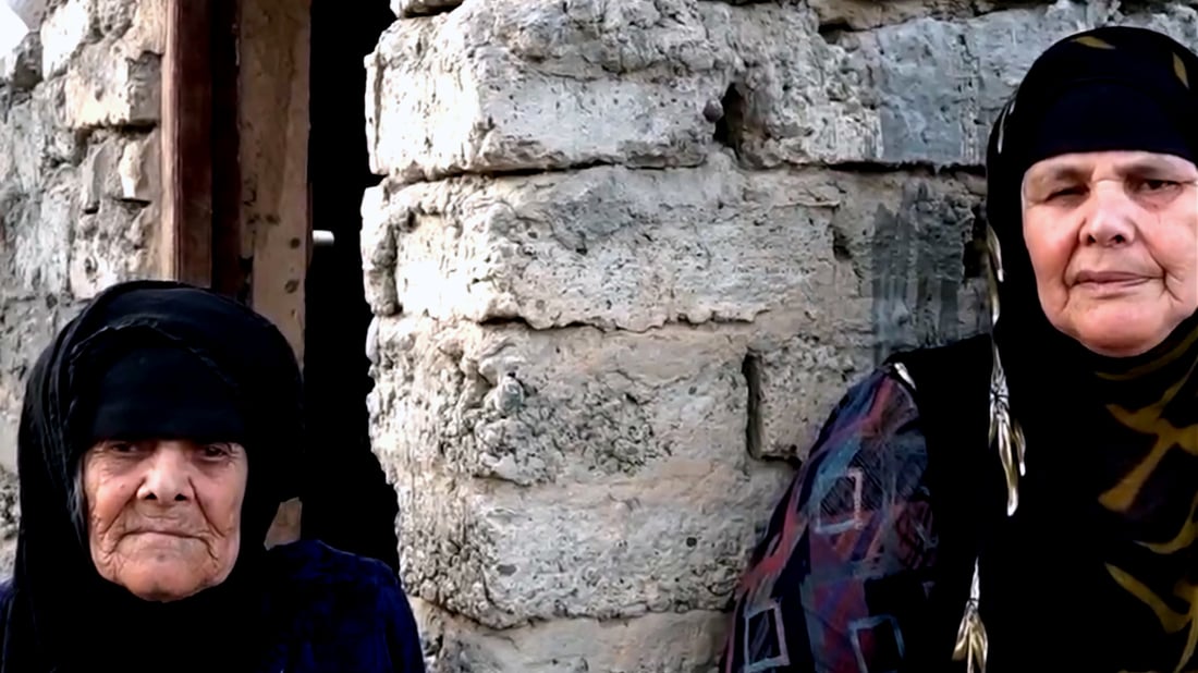 High rates of hearing impairment and muteness in Salah al-Din village