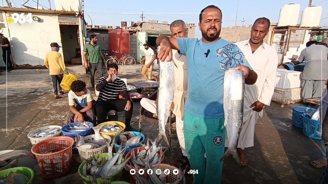 لە بەسرە.. بەراورد بە هەفتەی رابردوو نرخی ماسی هەرزانتر بووە