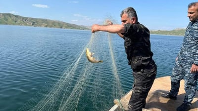 لە وەرزی قەدەغەی راوەماسیدا لە سلێمانی 80 کەس دەستگیر کراون