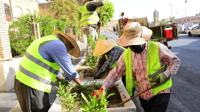 200 داری دەدۆنیا لەناو بازاڕی هەولێر چێندرا