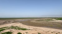 باڵندەکان دەربەندی رانیەیان جێهێشتووە