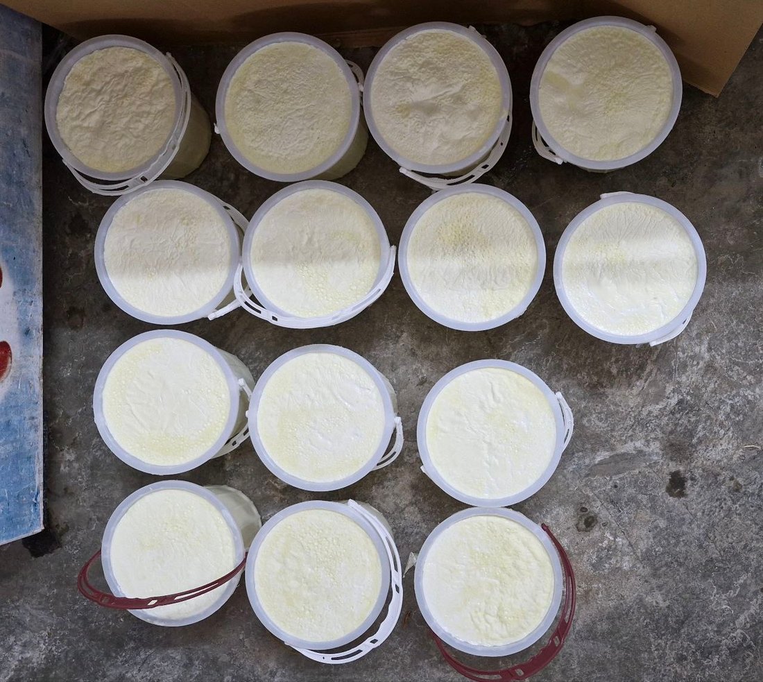 انهض باكراً صباح الجمعة من أجل قيمر “قرة جم”.. الكمية تُباع في طريقها إلى الدكان!