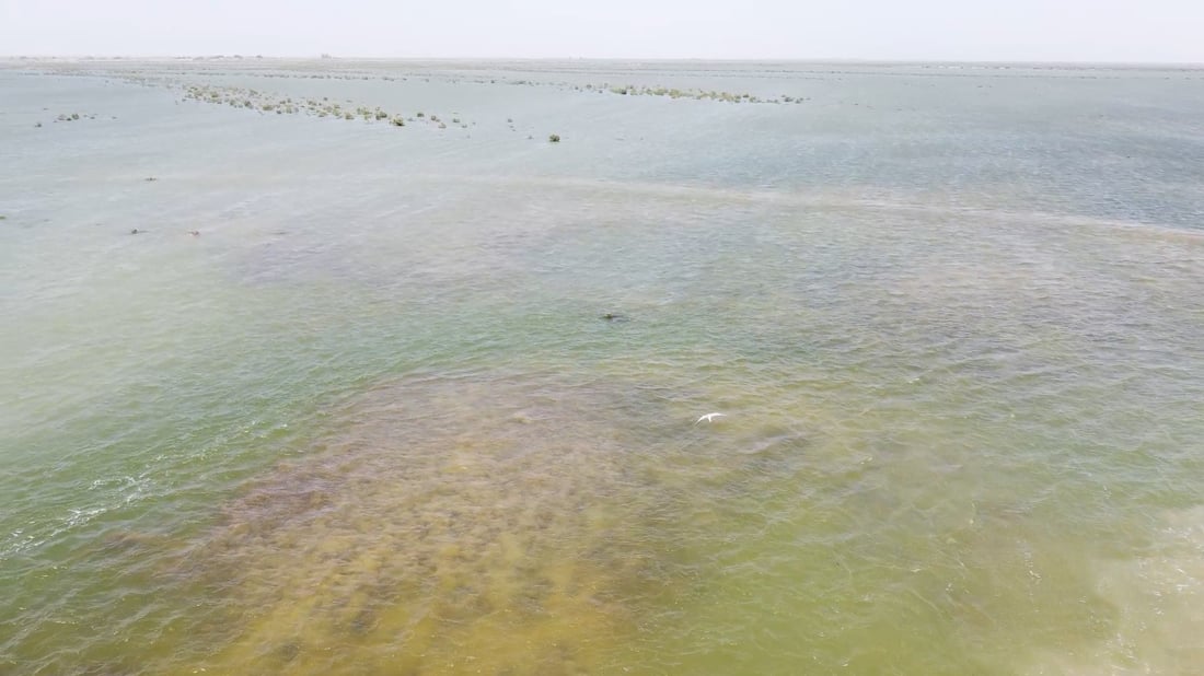 Fishermen revive floating reed platforms in Iraq’s southern marshes despite drought challenges