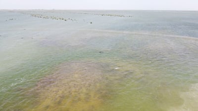 Fishermen revive floating reed platforms in Iraq’s southern marshes despite drought challenges