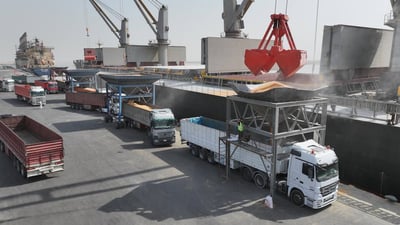 ميناء أم قصر من الداخل.. الموقف اليومي لكل رصيف والعراق يصدّر أيضاً (صور)