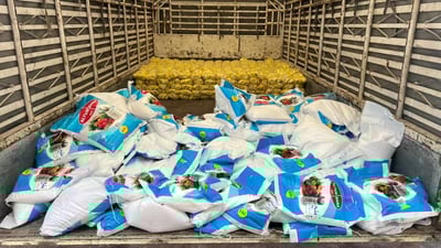 لەکۆی هەشت جۆر خوێ سیانیان لە پشکنین دەرنەچوون