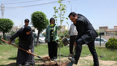 لە رێگەی چاندنی نەمامەوە رێز لە کۆچکردووان دەگرن