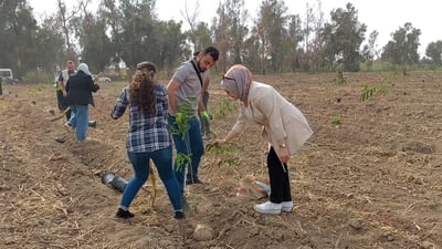 الموصل تخطو نحو الشجرة رقم مليون! (فيديو)