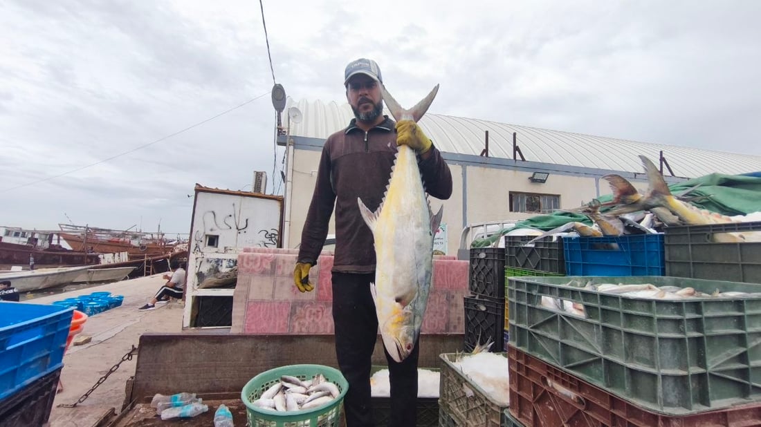 10 أطنان من الضلعة العملاقة.. أمطار وصيد وفير في بحر العراق (صور)