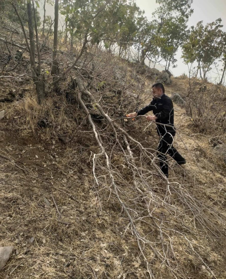 لە مێرگەپان 16 داری تەمەن 15 بۆ 20 ساڵ قەتڵوعام کران