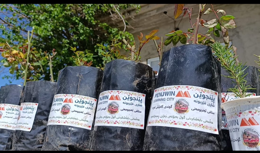 Sulaymaniyah village distributes 300 saplings for Eid