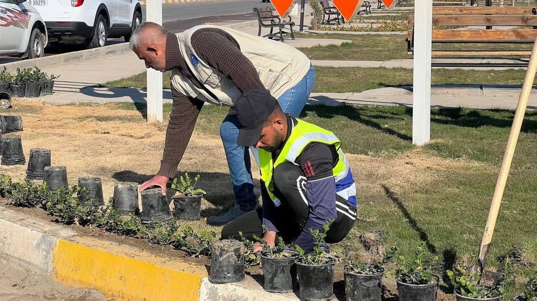 حملة التشجير الربيعية انطلقت.. صور من 8 مدن في الأنبار