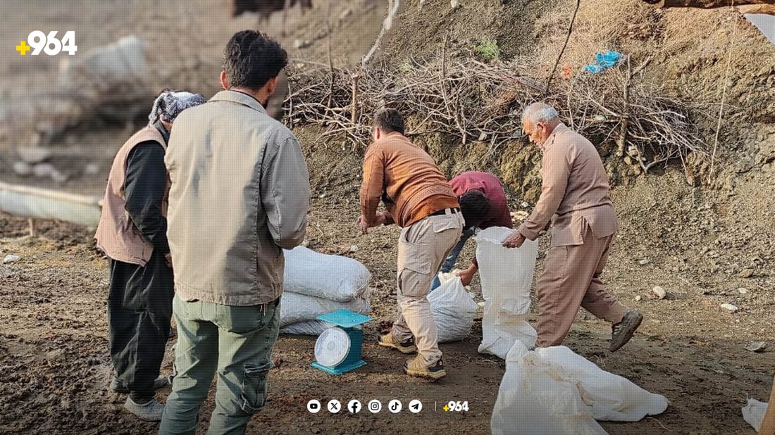 رێکخراوێک بەڕوو لە جوتیاران دەکڕێتەوە