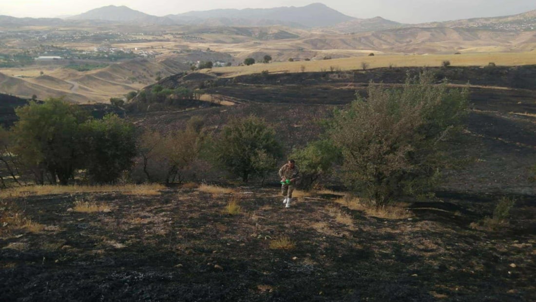 دیسانەوە ئاگركەوتنەوەی دارستانەكانە و بەرۆكمان بەرنادات