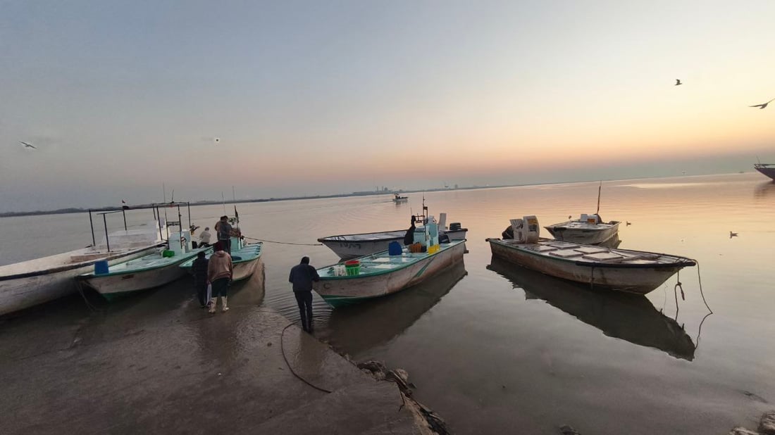 أخطبوط ودويلمي عملاق.. أجواء معتدلة وصيد وفير في بحر العراق (صور)