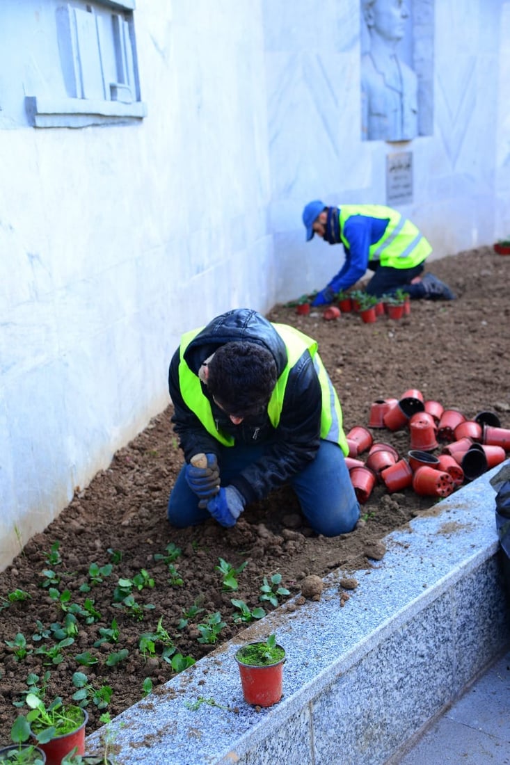 بۆ ئەم زستانە هەولێر 30 هەزار گوڵ دەچێنێت