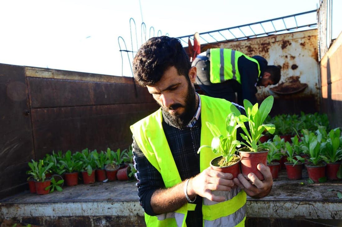 هه‌ولێر پڕ له‌ گوڵى (هه‌میشه‌ به‌هار) ده‌كرێت