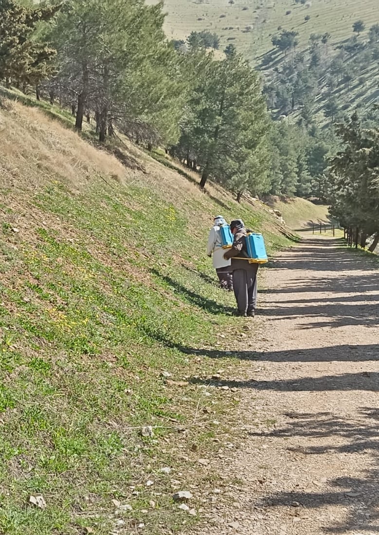 شاخى گۆیژه‌ ده‌رمانڕێژ كرا بۆ رێگرى كردن له‌ ئاگركه‌وتنه‌وه‌