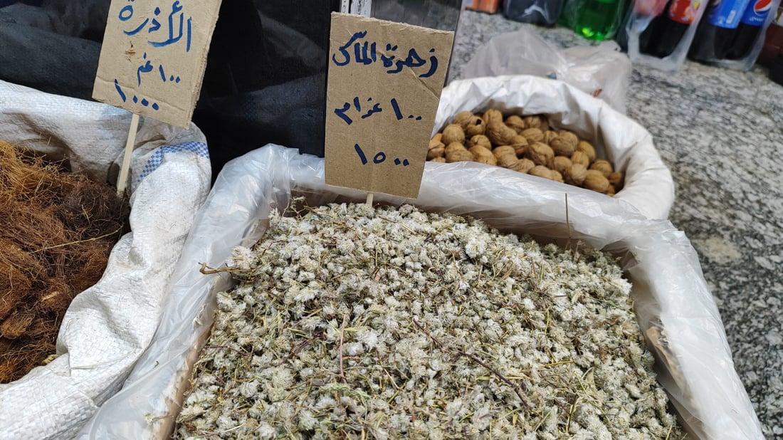 السوريون في كربلاء كأنهم في الوطن.. “سيدة الشام” سيوفر حتى سجائر “الحمراء” (صور)