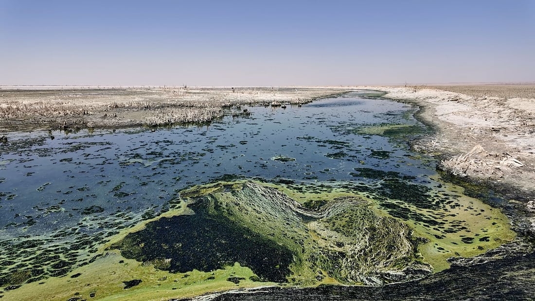 Local officials suspect ‘intentional’ drying of Najaf Sea