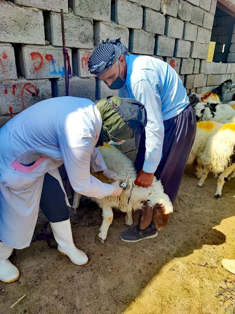 خورماتوور هه‌ڵمه‌تێكی ده‌ستپێكردووه‌ بۆ سەلامەتی ئاژه‌ڵ و باڵنده‌ و مرۆڤه‌كان