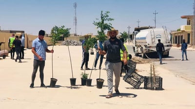 نينوى: شتلة سبحبح لكل شهيد في “شيخ خدر” والتمويل من الأمم المتحدة (صور)