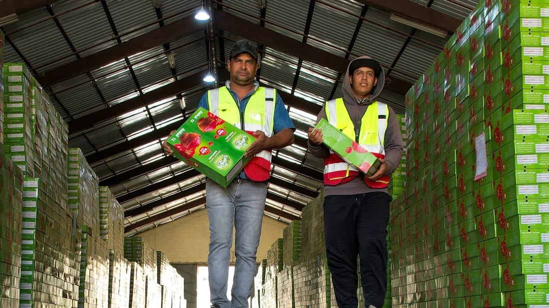 Trade Ministry claims customs tariffs ‘boosting demand’ for local products