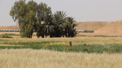 دوو برا لەناو بیری ئاودا گیانیان لەدەستدا