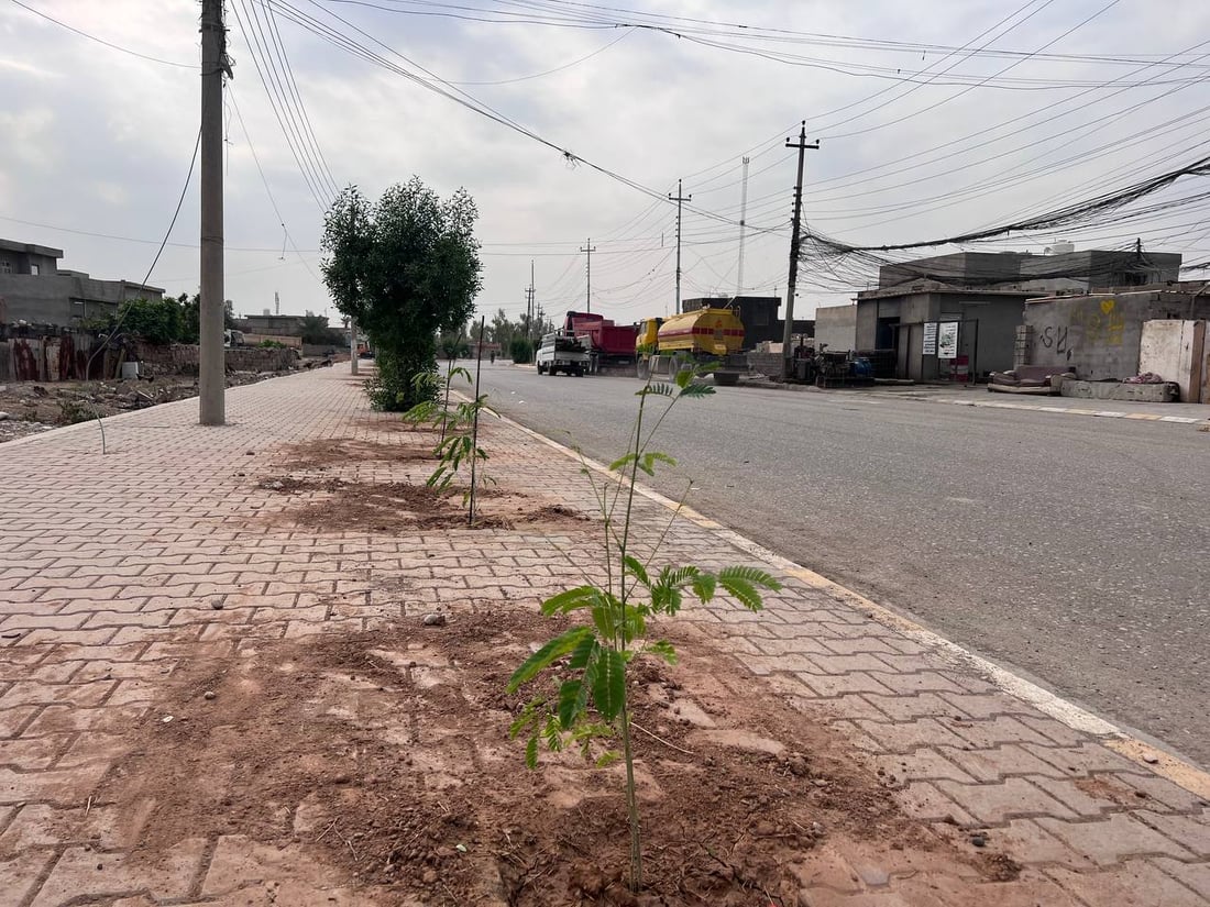 داقوق: حملة زراعة بدأت من “الثقلين” وحي الموظفين ولن تتوقف (صور)