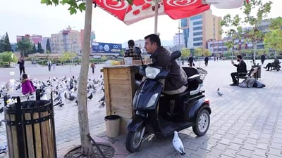 الإعاقة شجعته لشراء ألف طير.. الحمائم “تطعم” مربيها في دهوك (صور)