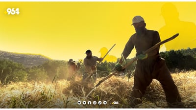 مانگی تەمموزە و لە کوێستانەکان بە داس گەنم دەدوورنەوە