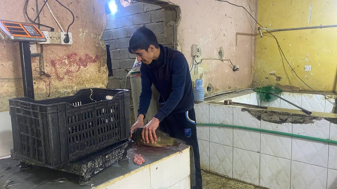 صور: قصابو أبو غريب أغلقوا محالهم بسبب ارتفاع الأسعار.. ودجاج أربيل أنسب البدائل