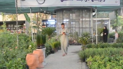 Salah Al-Din nursery encourages planting by offering free seedlings, prizes