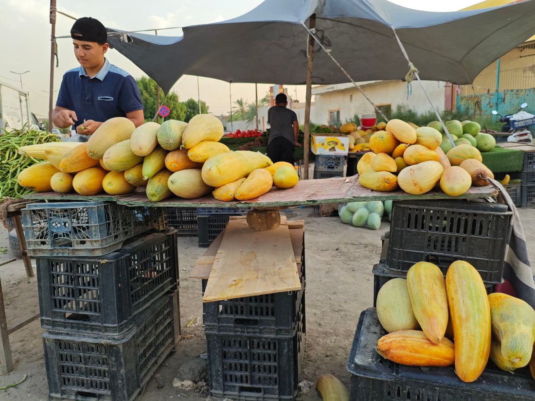 صور: هذا ليس بطيخاً ولا “عطروزي”.. سوق الحلة يحتفل بـ”السابوري” أو “خيار الماء”