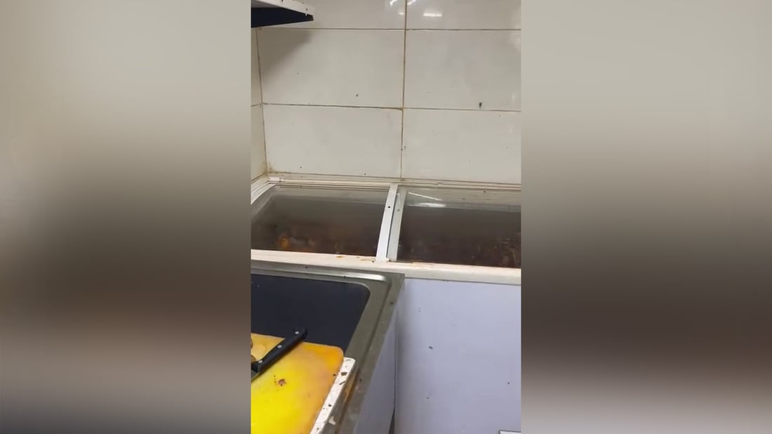 دهوك تغلق مطعماً بعد العثور على حشرات ميتة في وجباته (فيديو)
