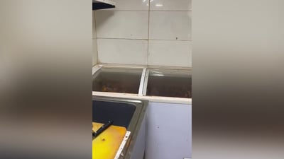 دهوك تغلق مطعماً بعد العثور على حشرات ميتة في وجباته (فيديو)