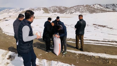 لە پێنجوێن پۆلیسی دارستان و رێکخراوێکی ژینگەیی خۆراکیان بۆ باڵندەکان دابینکرد