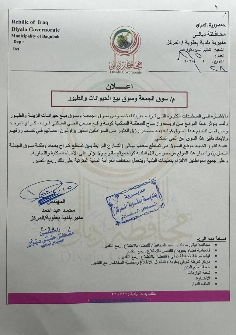 شبكة 964صورة من منصة (شبكة): 